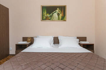 Двухместный номер с 1 двухспальной кроватью в Гостинице Уютная